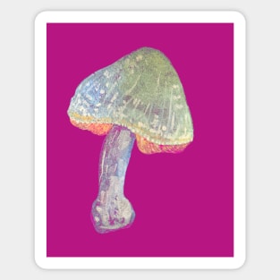 Colorful vibrant wild magic Psychedelic Mushroom Sticker